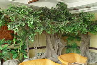 南寧假樹批發(fā) 專業(yè)的仿真榕樹供應(yīng)商推薦